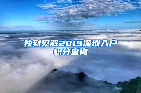 独到见解2019深圳入户积分查询