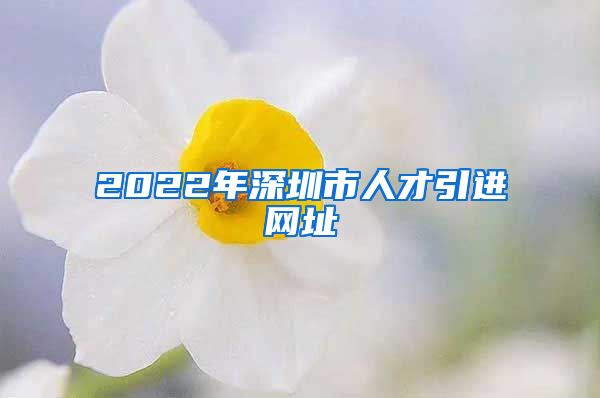 2022年深圳市人才引进网址