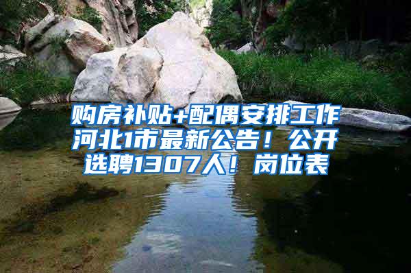 购房补贴+配偶安排工作河北1市最新公告！公开选聘1307人！岗位表