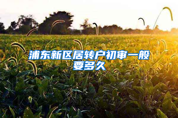 浦东新区居转户初审一般要多久