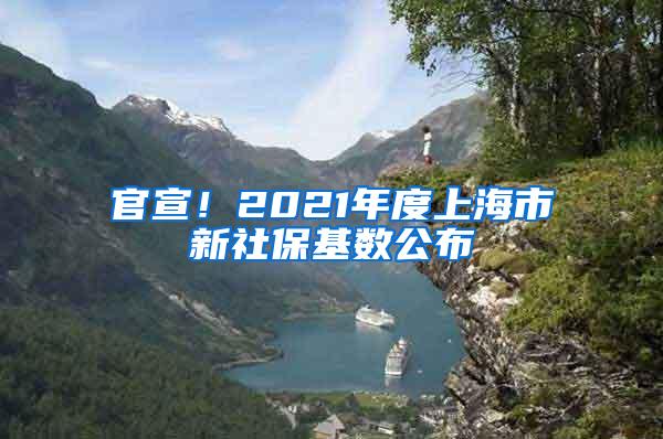 官宣！2021年度上海市新社保基数公布