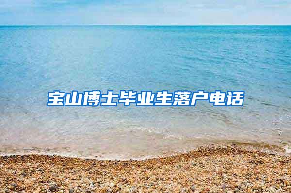 宝山博士毕业生落户电话