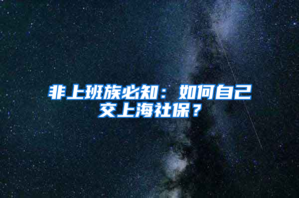 非上班族必知：如何自己交上海社保？