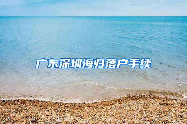 广东深圳海归落户手续