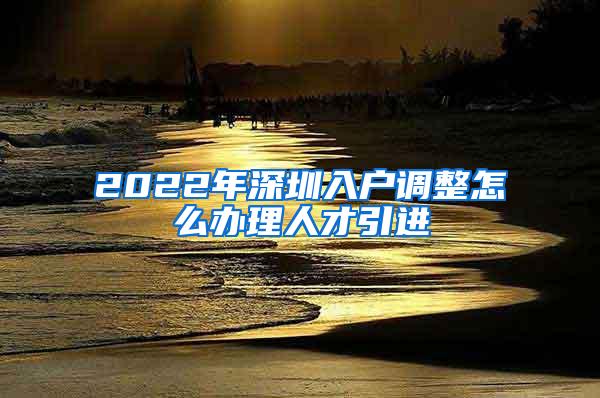 2022年深圳入户调整怎么办理人才引进