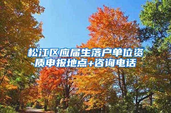 松江区应届生落户单位资质申报地点+咨询电话