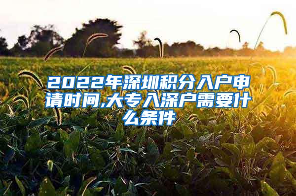 2022年深圳积分入户申请时间,大专入深户需要什么条件