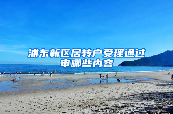 浦东新区居转户受理通过审哪些内容