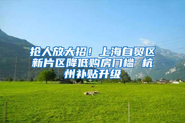 抢人放大招！上海自贸区新片区降低购房门槛 杭州补贴升级