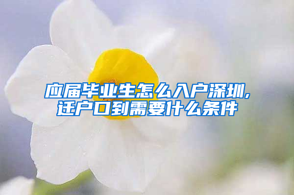 应届毕业生怎么入户深圳,迁户口到需要什么条件