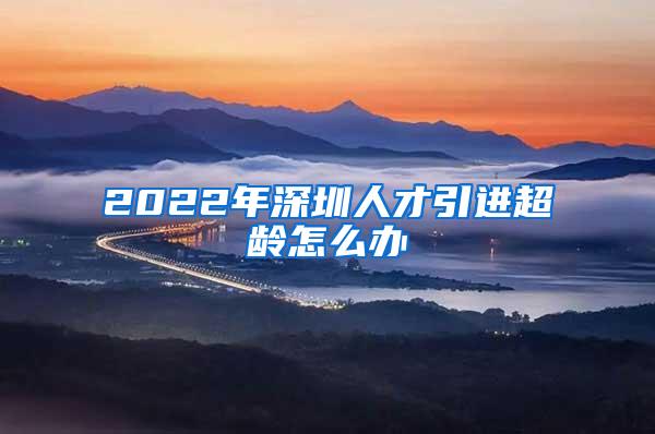 2022年深圳人才引进超龄怎么办