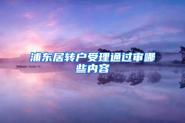 浦东居转户受理通过审哪些内容