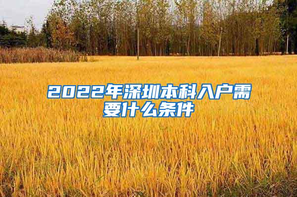 2022年深圳本科入户需要什么条件
