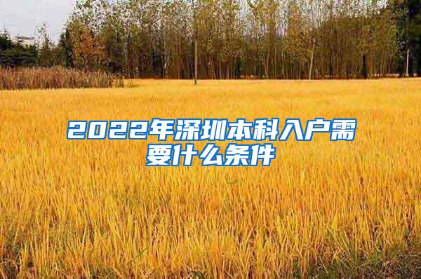 2022年深圳本科入户需要什么条件