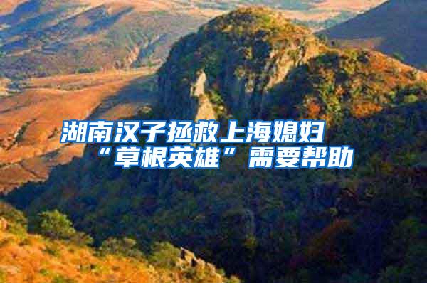 湖南汉子拯救上海媳妇 “草根英雄”需要帮助