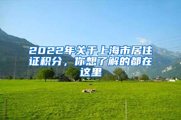 2022年关于上海市居住证积分，你想了解的都在这里