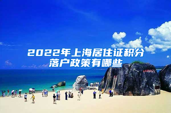 2022年上海居住证积分落户政策有哪些