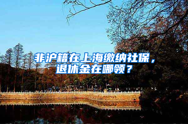 非沪籍在上海缴纳社保，退休金在哪领？