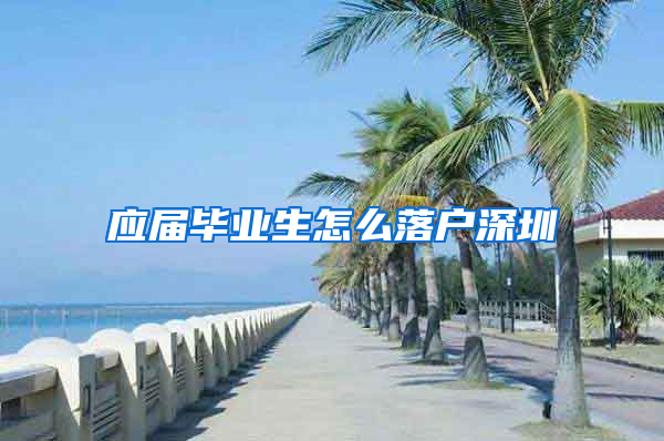 应届毕业生怎么落户深圳