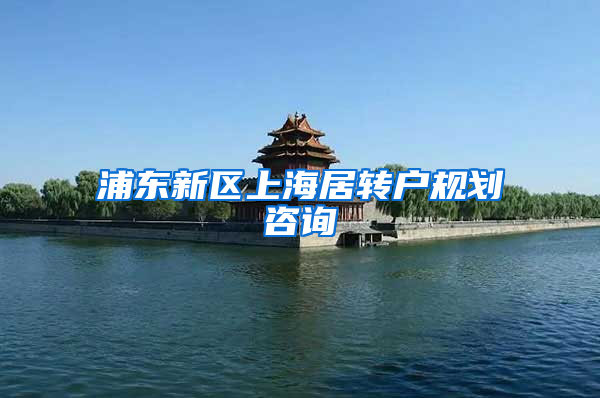 浦东新区上海居转户规划咨询