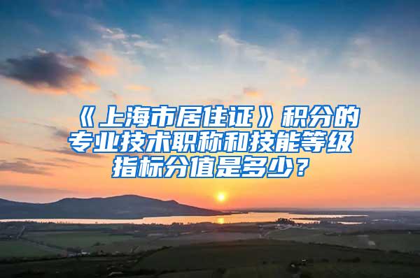 《上海市居住证》积分的专业技术职称和技能等级指标分值是多少？