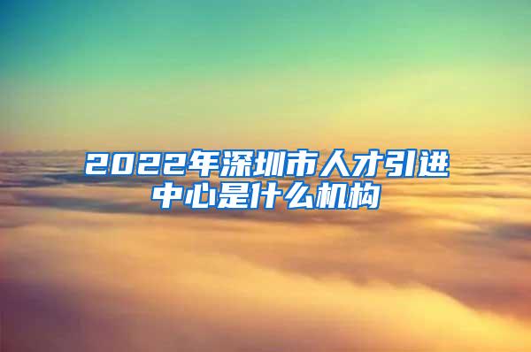 2022年深圳市人才引进中心是什么机构