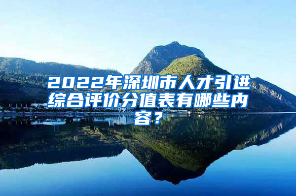 2022年深圳市人才引进综合评价分值表有哪些内容？