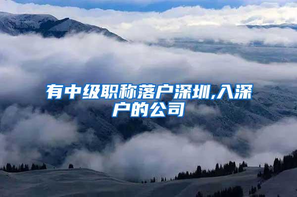有中级职称落户深圳,入深户的公司