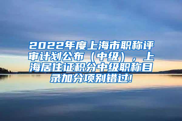 2022年度上海市职称评审计划公布（中级），上海居住证积分中级职称目录加分项别错过!