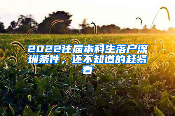 2022往届本科生落户深圳条件，还不知道的赶紧看