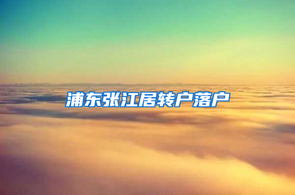 浦东张江居转户落户