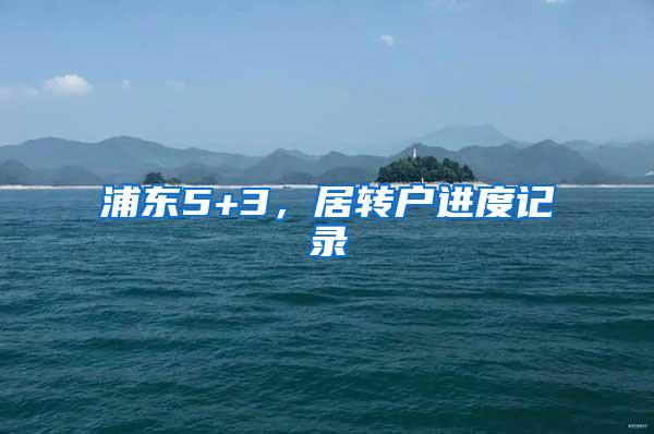 浦东5+3，居转户进度记录