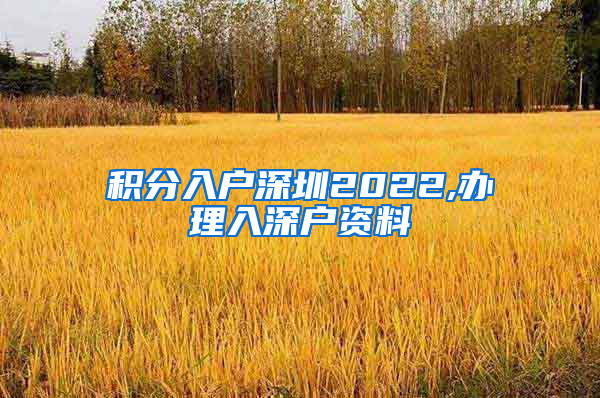 积分入户深圳2022,办理入深户资料