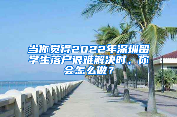 当你觉得2022年深圳留学生落户很难解决时，你会怎么做？