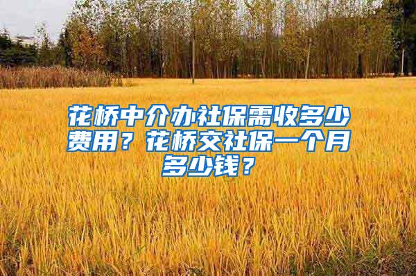 花桥中介办社保需收多少费用？花桥交社保一个月多少钱？