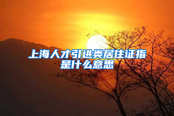 上海人才引进类居住证指是什么意思