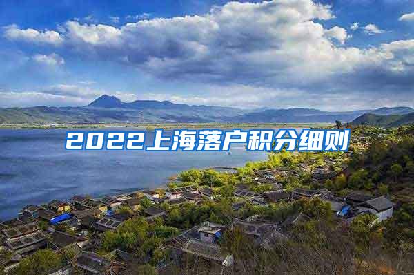 2022上海落户积分细则