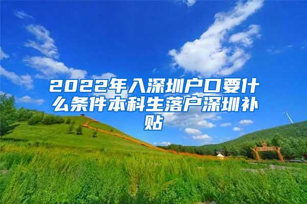 2022年入深圳户口要什么条件本科生落户深圳补贴