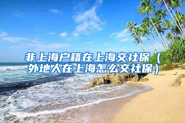 非上海户籍在上海交社保（外地人在上海怎么交社保）