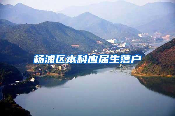 杨浦区本科应届生落户