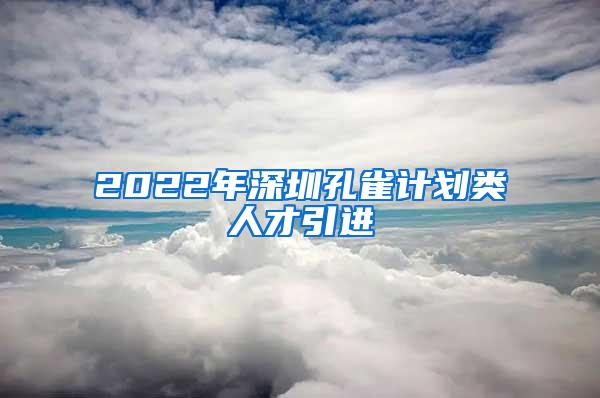 2022年深圳孔雀计划类人才引进