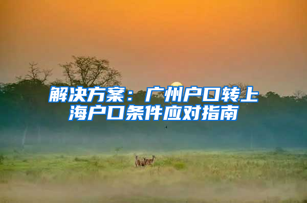 解决方案：广州户口转上海户口条件应对指南