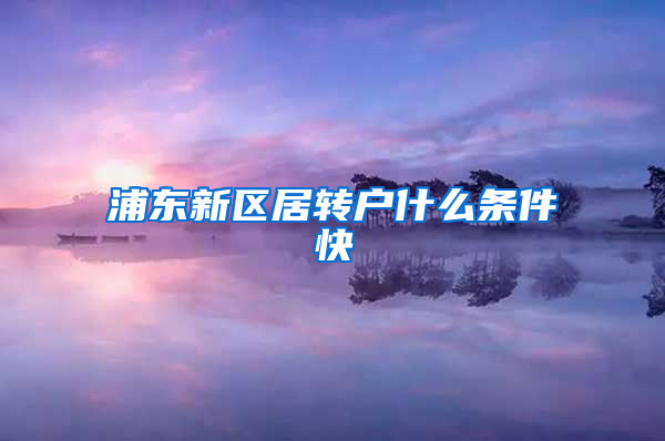 浦东新区居转户什么条件快