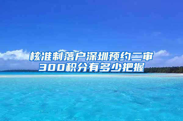 核准制落户深圳预约二审300积分有多少把握