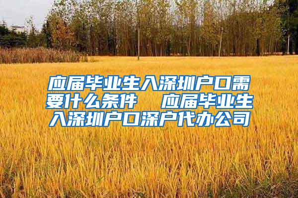 应届毕业生入深圳户口需要什么条件  应届毕业生入深圳户口深户代办公司