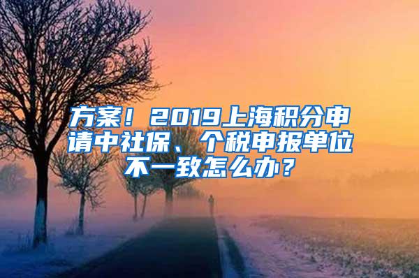方案！2019上海积分申请中社保、个税申报单位不一致怎么办？