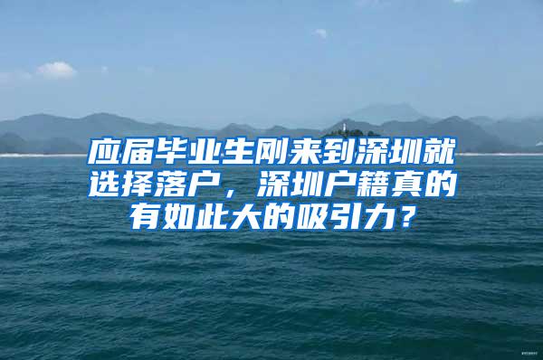 应届毕业生刚来到深圳就选择落户，深圳户籍真的有如此大的吸引力？