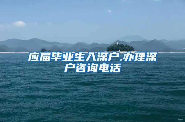 应届毕业生入深户,办理深户咨询电话