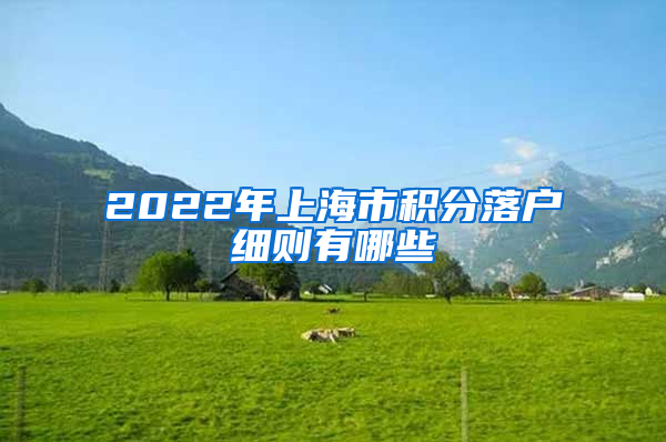 2022年上海市积分落户细则有哪些