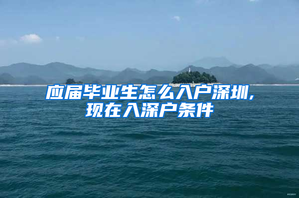 应届毕业生怎么入户深圳,现在入深户条件